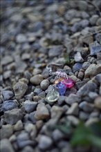 Verlorene Ohrring / ..........................