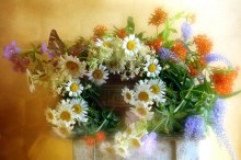 Feldblumen / ***