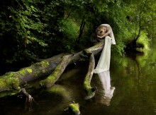 Enchanted Forest (Teil 1) / ***