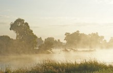 Der Morgen auf dem Pripjat / -------