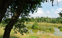 Die Natur ihrer Heimat / ***