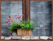 Korb mit Blumen / ***