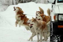Familie / ***