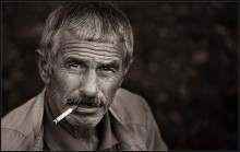 Vladimir ... / ***