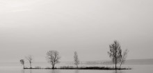 Insel ... / ***