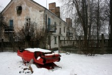 Schneeglöckchen / ***