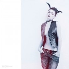 Bulls Head II / ***