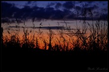 Sonnenuntergang / ***