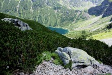 Auf der Piste / *** ********