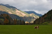 Alps / ***