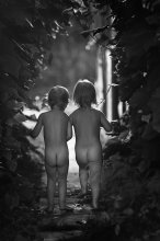 Zum Licht / no comments