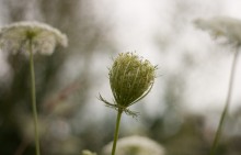 Regenschirme / *****