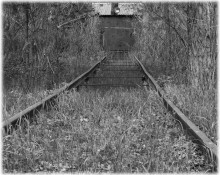 Schienen / ***