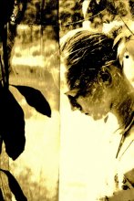 Ohne Titel / ***