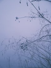 Am Morgen / ***