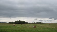 Die August-Bereich / ***