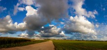Landschaft mit Kornfeld / ***