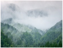 Nach dem Regen / ***