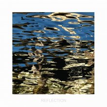 Ocker / ***