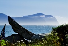 Vikten / ***