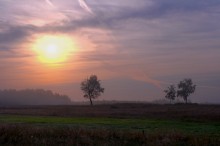 Durch einen Schleier aus Nebel / **********