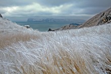 Reich der Schneekönigin / ***