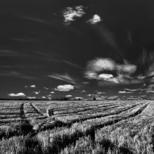 Sommerfahrplan / ***