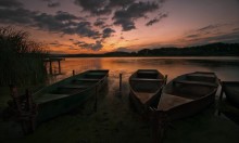 In the dying rays of sunset / ***