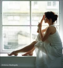 das Fenster / ***
