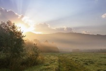 Dawns / ***