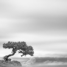 Above the sky / ***