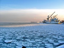 Winter / ***