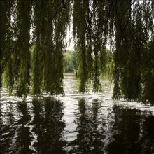 beugte sich über das Wasser / ***