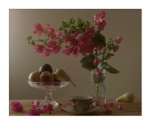 Flowers Bougainvillea ... / ***