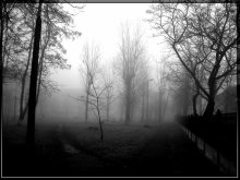 Pfade ... / ***