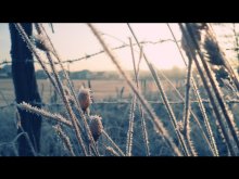 Nachdenklich / ***