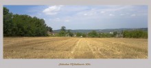 Nach der Ernte / ***