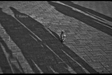 Im Schatten der bezchuvstvennoy / ***