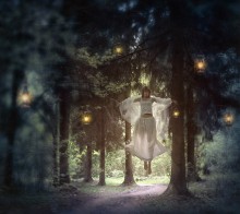 Magic Forest / ------