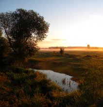 In der Morgendämmerung im August / ***