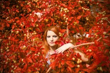 Herbst / #####