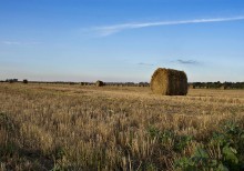 Herbst-Feld / ***
