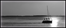 zum Meer ... / ***