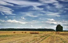 Es war Sommer, war im Juli / ........