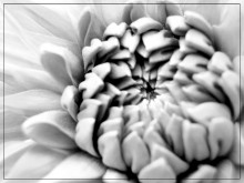 Erwachen / ***