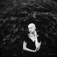 Baum / http://soul-portrait.com/