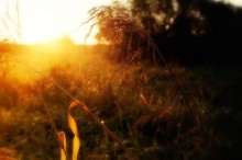 "Farewell Summer" / *********