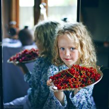 Johannisbeere / ***