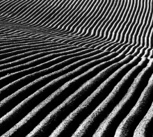 Die Linien der Frühling Feld / ***