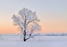 Der kalte Hauch des Winters / ---- ----- ------